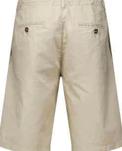 Bermuda Chino Bruin