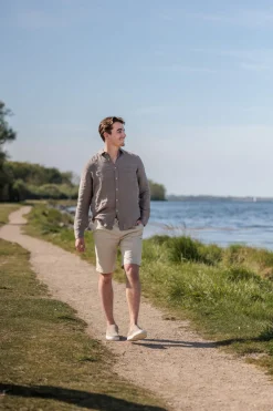Bermuda Chino Bruin