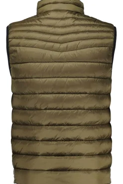 Bodywarmer Odeno Groen