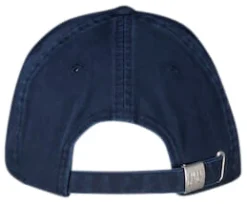 Cap Graphic Trucker Blauw
