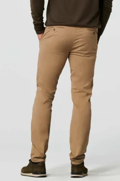Chino Bonn Bruin