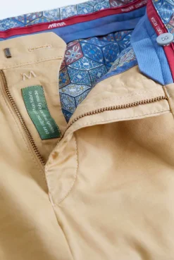 Chino Bonn Bruin