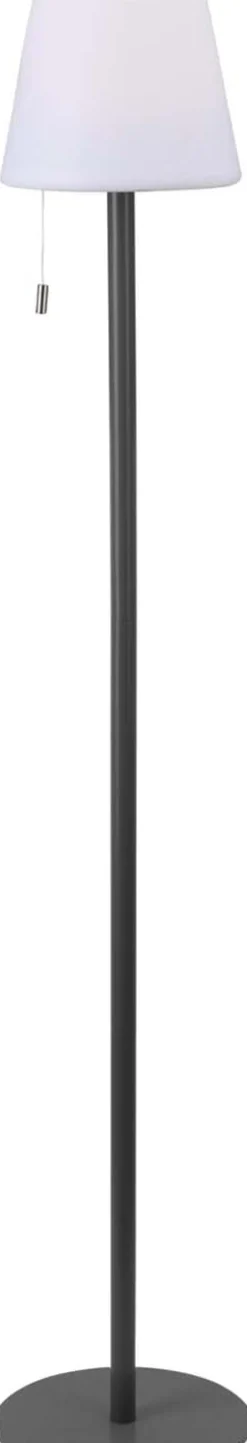 Lamp Colour Changing  Zwart
