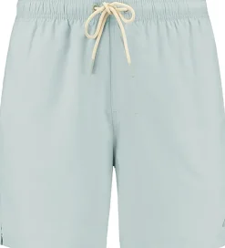 men mike swim shorts Lime