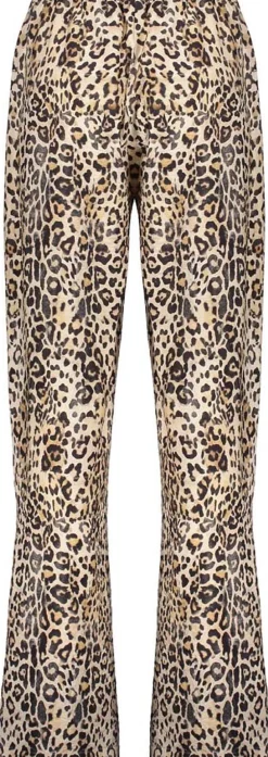 Pantalon Bruin