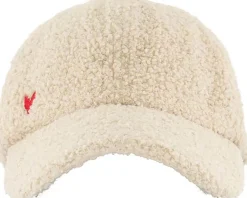 Pet Teddy Creme