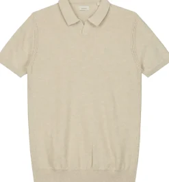 Polo Bruin
