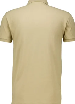 Polo Bruin