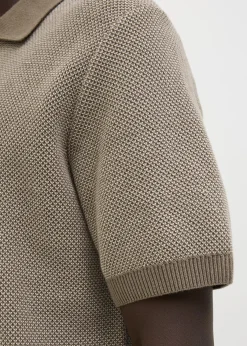 Polo Easton Bruin