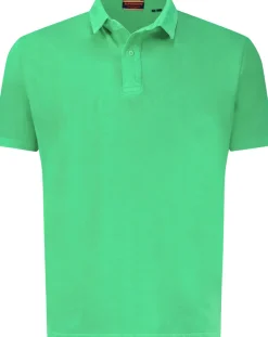 Polo Essential Groen