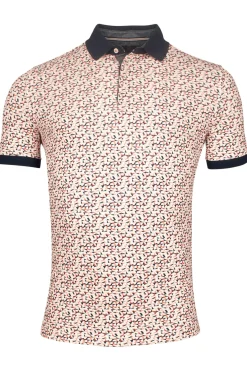 Polo Koraal