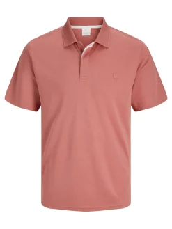 Polo Rodney Roze