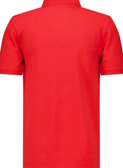 Polo Rood