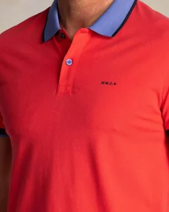 Polo Timothy Rood