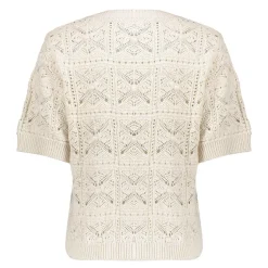 Pullover Crochet Bruin
