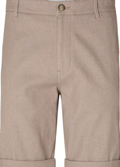 Short Bruin