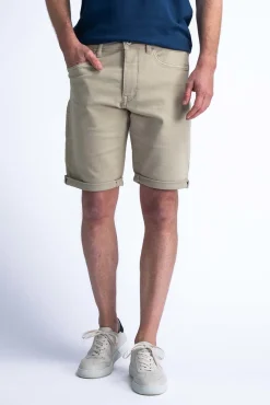 Short Bruin