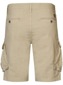 Short Bruin