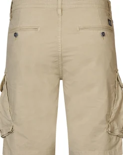 Short Bruin