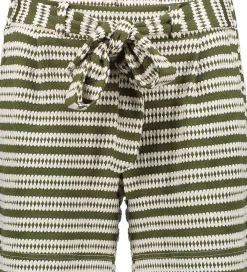 Short Bruin