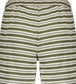 Short Bruin