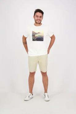 Short Chino Bruin
