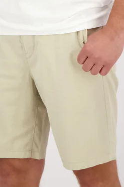 Short Chino Bruin
