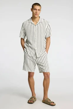 Short Regal Wit