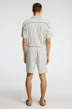 Short Regal Wit