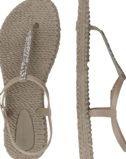 Slippers Flipflops  Bruin