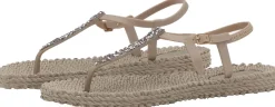 Slippers Flipflops  Bruin