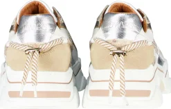 Sneakers Jupiter Bruin