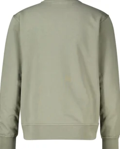 Sweater Basic Groen