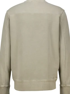 Sweater Bruin