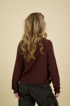 Sweater Bruin