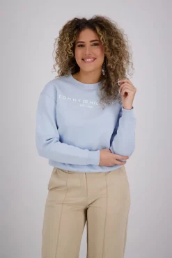 Sweatshirt Mdrn Reg Corp Blauw