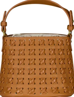 Tas Bruin