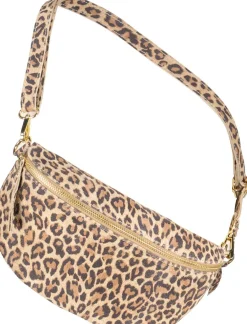 Tas Zoey  Bruin