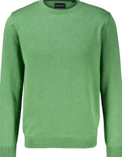 Trui Groen