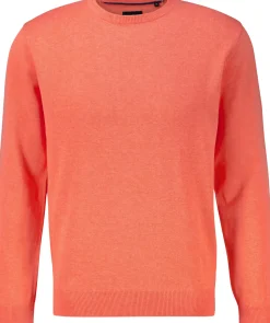 Trui Oranje