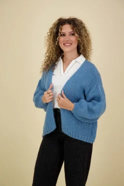 Vest Beau Blauw