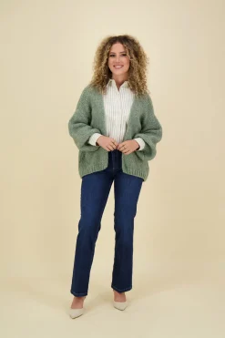 Vest Beau Groen