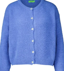 Vestje Blauw