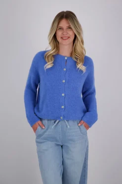 Vestje Blauw