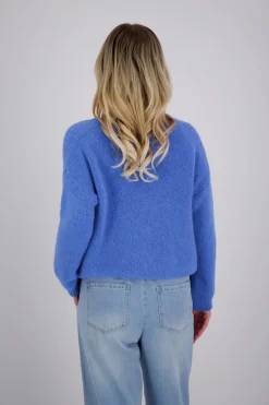 Vestje Blauw