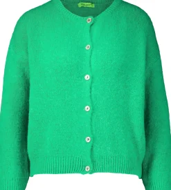 Vestje Groen