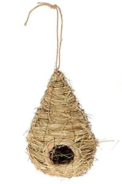 Vogelnest Bruin