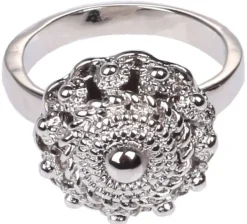 Zeeuwse Ring Sluis Zilver